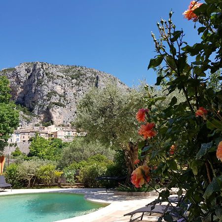 Bastide Des Oliviers Acomodação com café da manhã Moustiers-Sainte-Marie Exterior foto