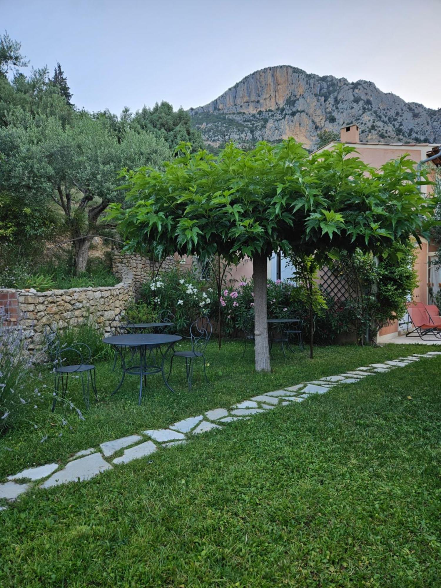 Bastide Des Oliviers Acomodação com café da manhã Moustiers-Sainte-Marie Exterior foto